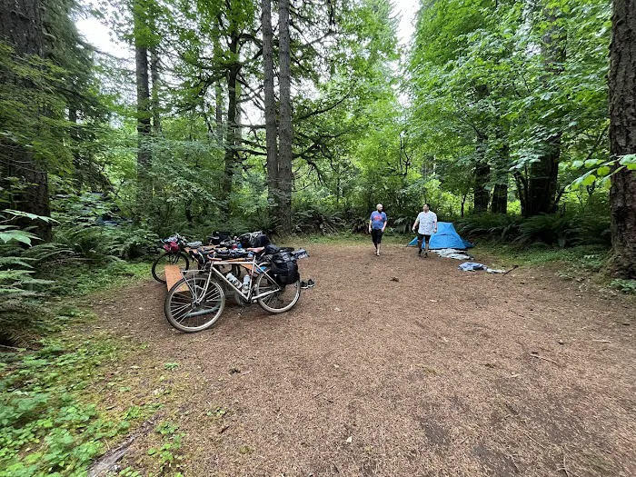 Trask River County Campground 3