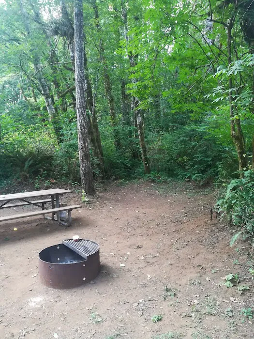 Trask River County Campground 8