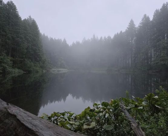 South lake