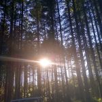 South Lake Dispersed Area