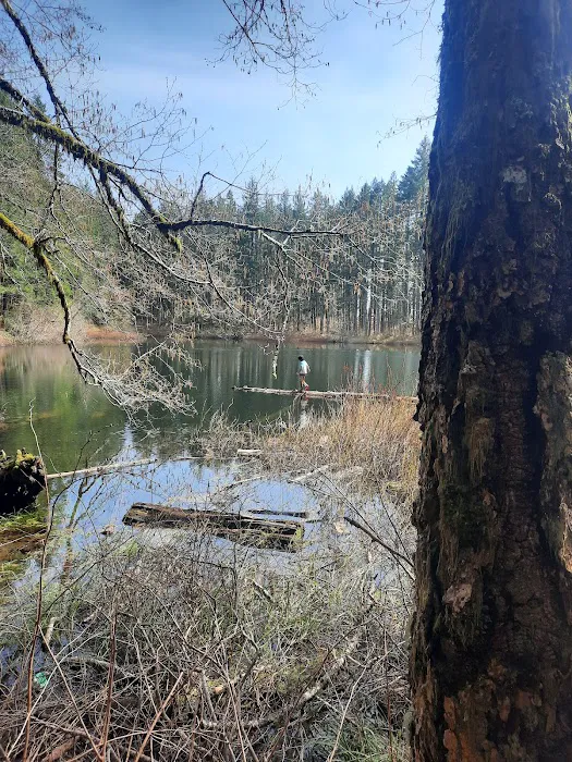 South Lake Dispersed Area 6