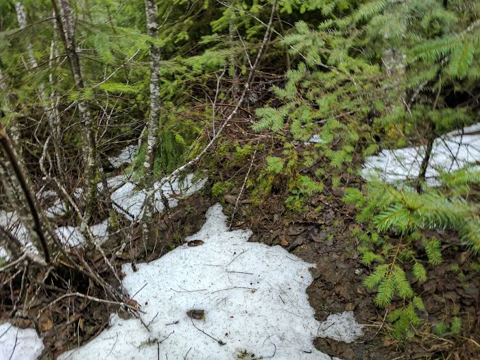 South Lake Dispersed Area 9