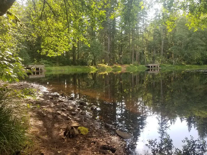 Hebo Lake Campground 3