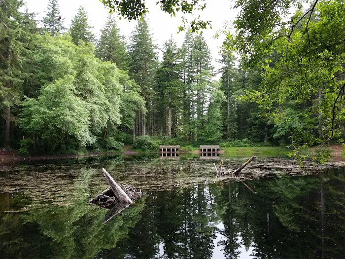 Hebo Lake Campground 5