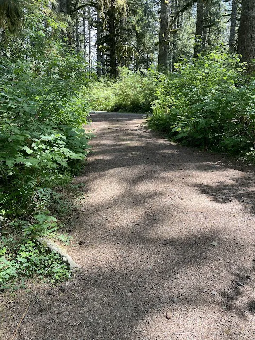 Hebo Lake Campground 4