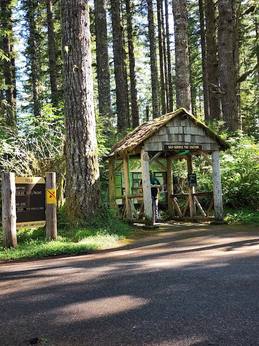 Hebo Lake Campground 9