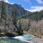 Jordan Creek Camping Site #11