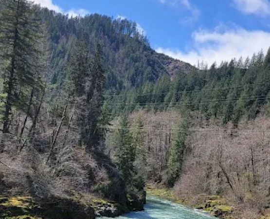 Jordan Creek Camping Site #11