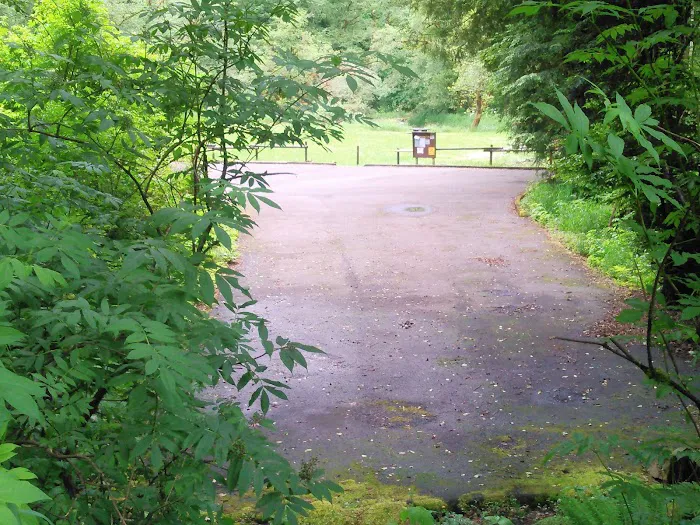 Castle Rock Campground 8