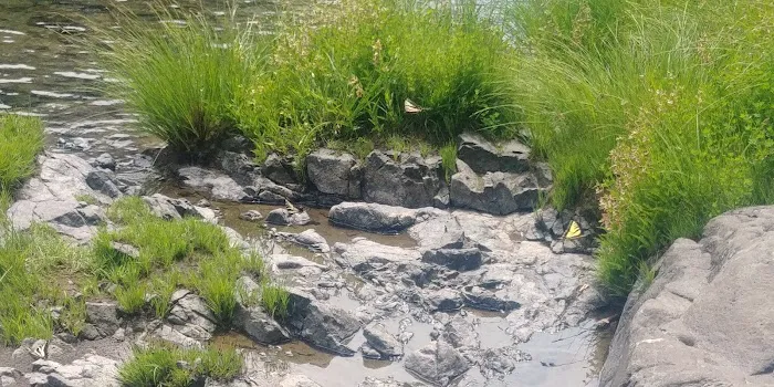 Keenig Creek Campground 4