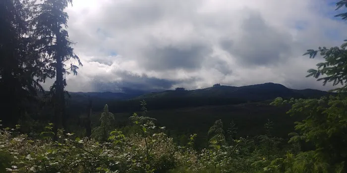 Keenig Creek Campground 6