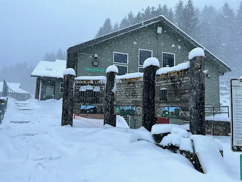 South Fork Forest Camp 2