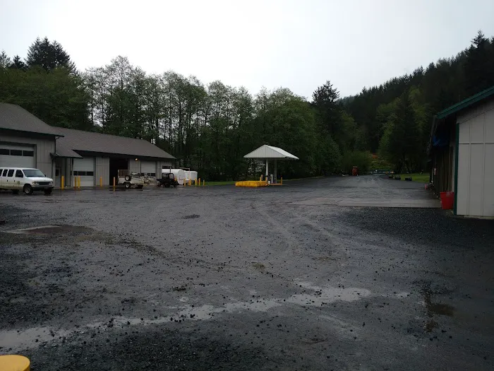 South Fork Forest Camp 8