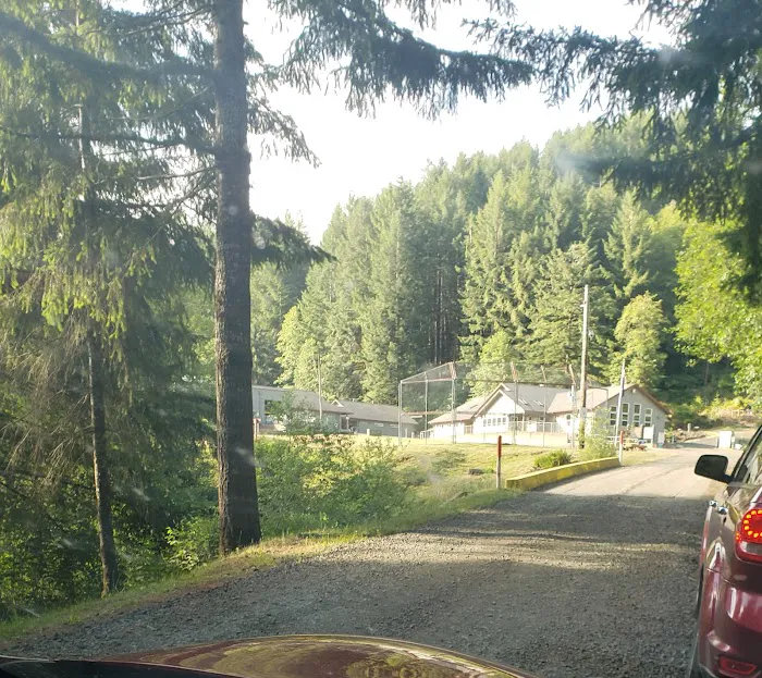 South Fork Forest Camp 6