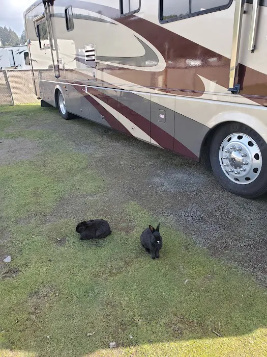 Webb County Campground 7