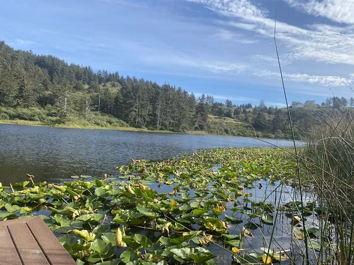 The Lake Pasture 2