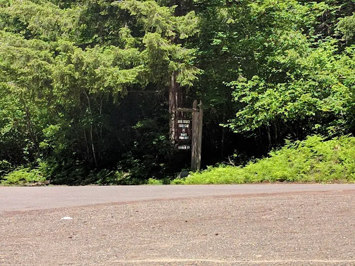 Camp White Branch 2