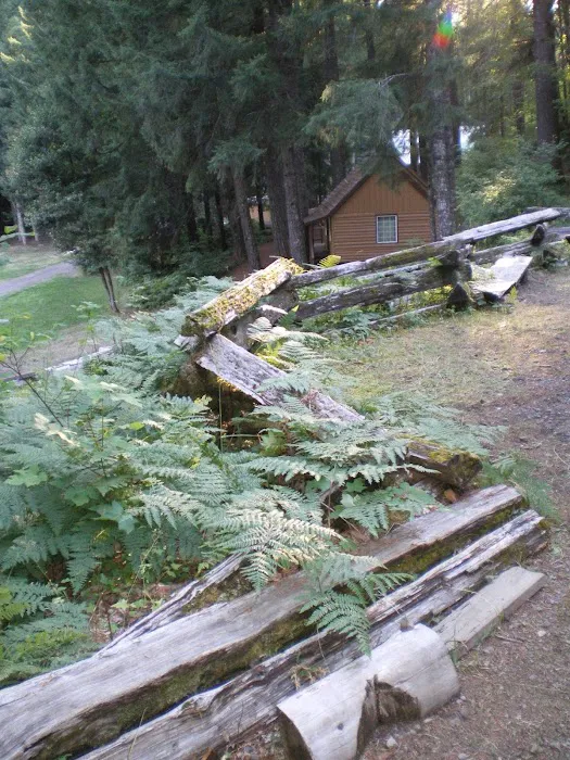 Camp White Branch 1