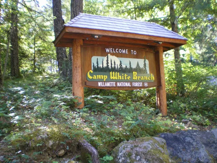 Camp White Branch 3
