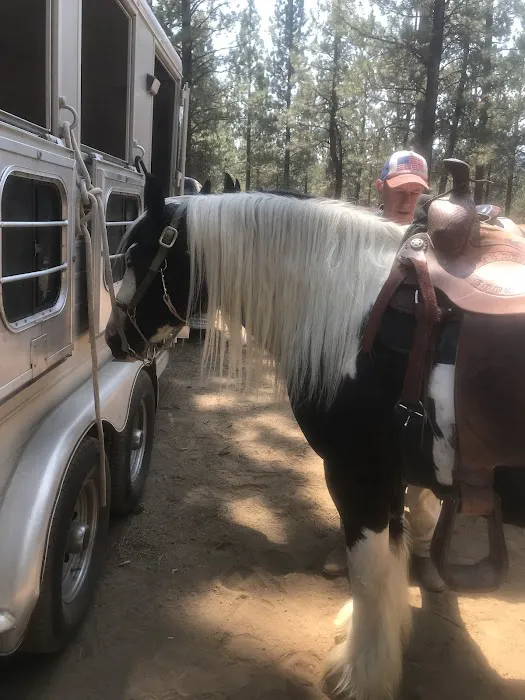 Sisters Cow Camp 1