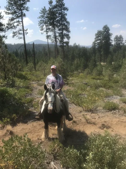 Sisters Cow Camp 0