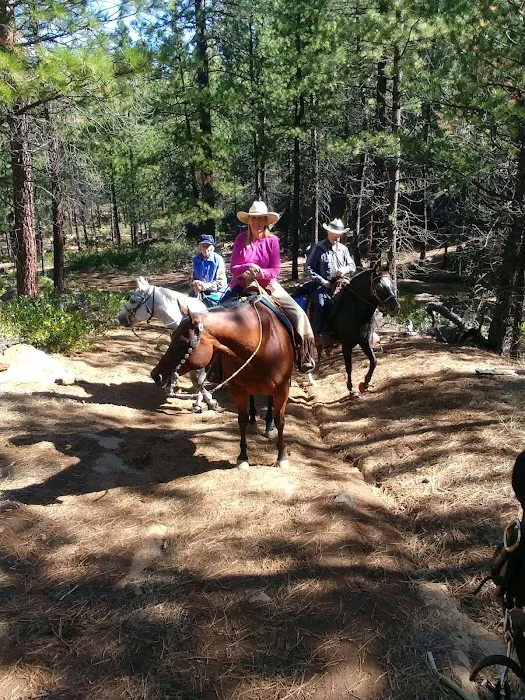 Sisters Cow Camp 9