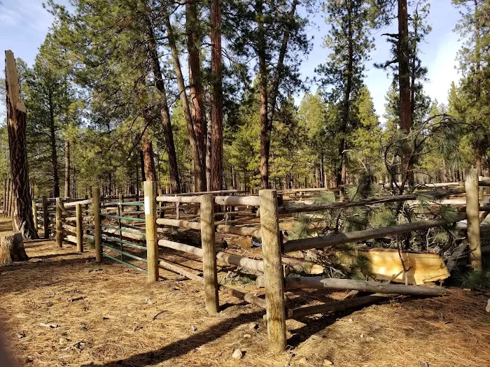 Sisters Cow Camp 7