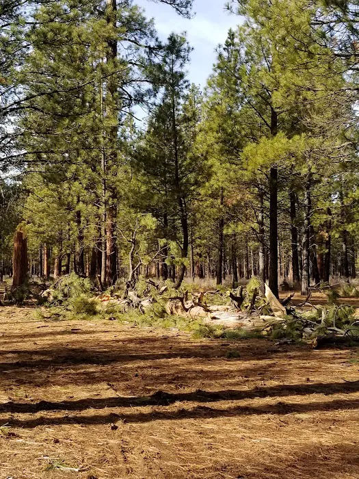 Sisters Cow Camp 8