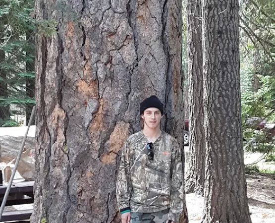 Whispering Pine Horse Camp