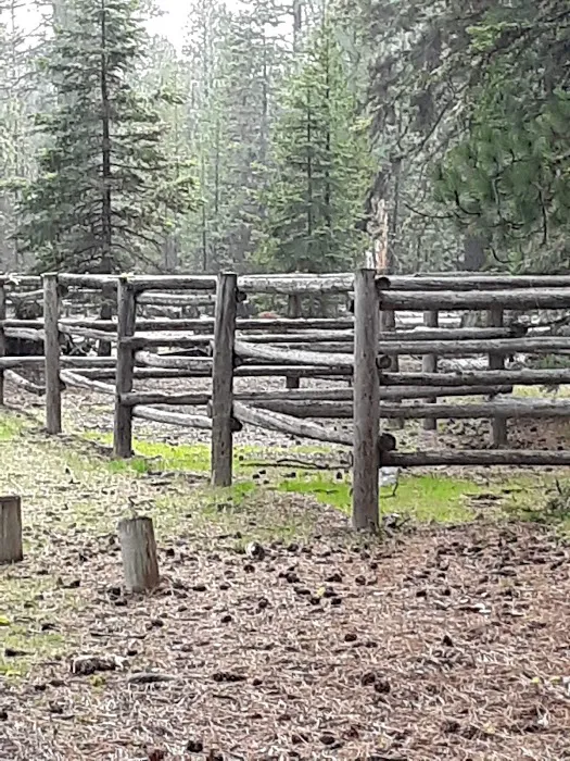 Whispering Pine Horse Camp 4