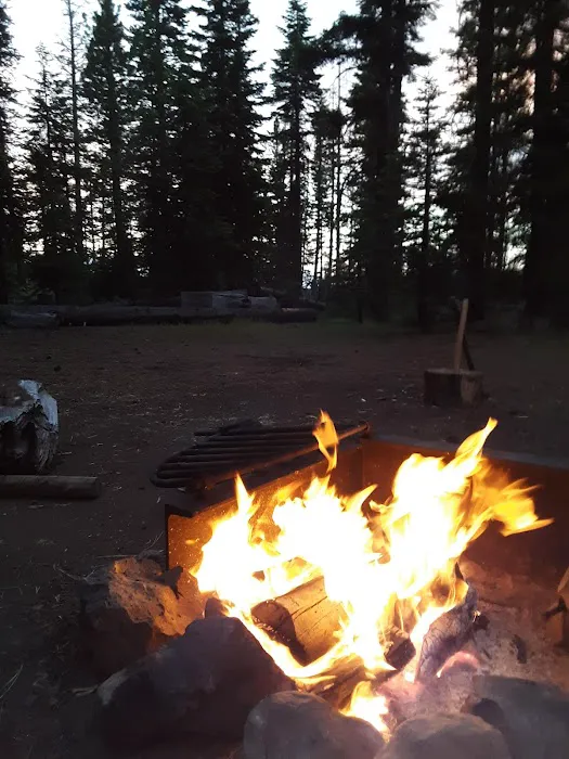 Whispering Pine Horse Camp 3