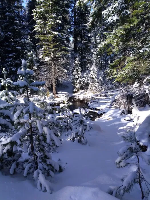 Whispering Pine Horse Camp 8