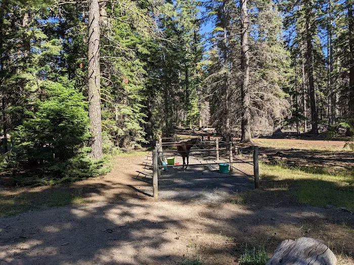 Whispering Pine Horse Camp 7