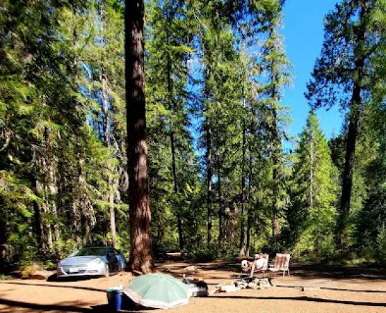 Scorpion Creek Campsite