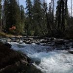 Cleator Bend Campground