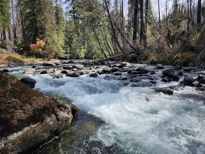 Cleator Bend Campground 6