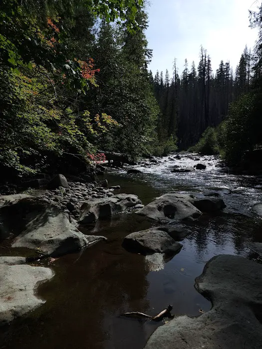 Cleator Bend Campground 2