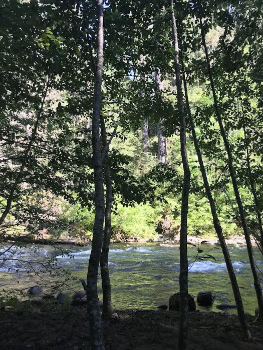 Breitenbush Campground 2