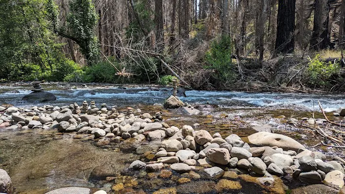 Breitenbush Campground 1