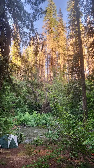 Breitenbush Campground 4