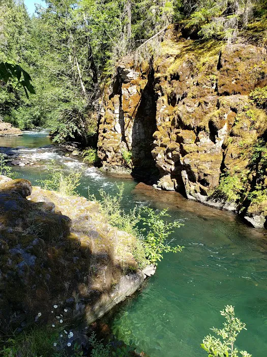 Breitenbush Campground 5