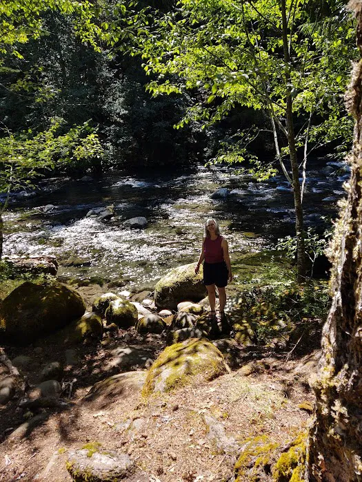 Breitenbush Campground 6