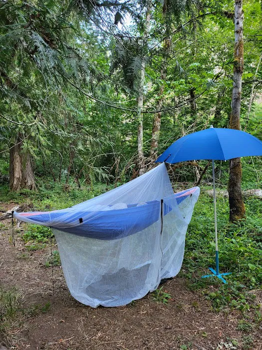 Breitenbush Campground 9
