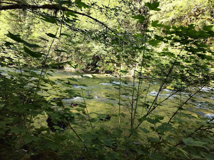 Riverside at Detroit Campground 5