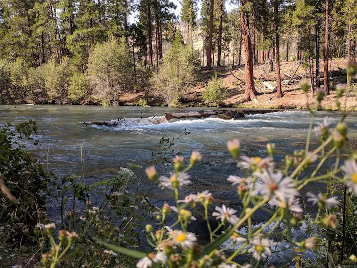 Monty Campground 5