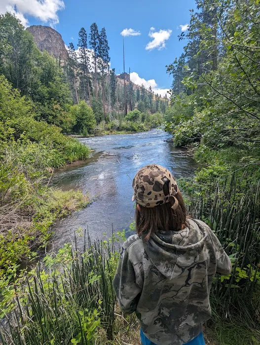 Monty Campground 0