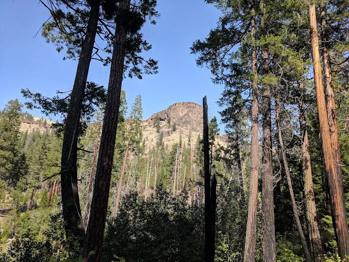 Monty Campground 2