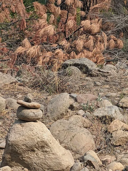 Monty Campground 7