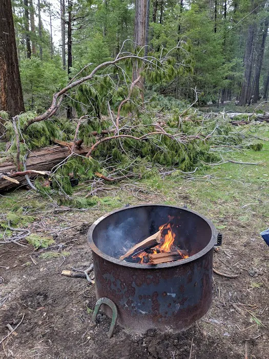 Monty Campground 8