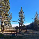 Quinn Meadow Horse Camp